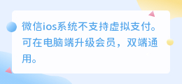 苹果IOS系统打开小程序无法升级会员?