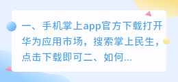 掌上app官方下载(手机掌上app官方下载)