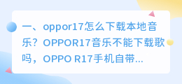 什么软件可以下载短视频到本地音乐(oppor17怎么下载本地音乐？)