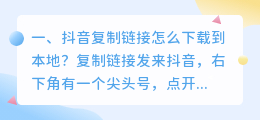 抖音视频复制链接了用什么下载(抖音视频复制链接了用什么下载软件)