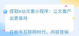 提取b站文案小程序
