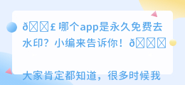 哪个app是永久免费去水印