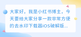 去水印下载器ios破解版