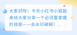 去水印破解免费版下载