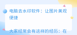 电脑去水印软件