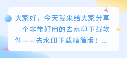 去水印下载精简版