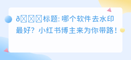 哪个软件去水印最好