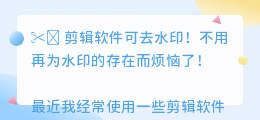 剪辑软件可去水印