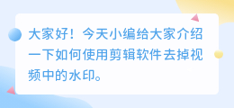 剪辑软件怎么去水印