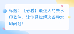 最强大的去水印软件