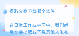 提取文案下载哪个软件