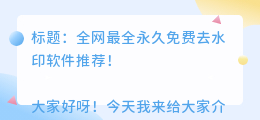 永久免费去水印软件