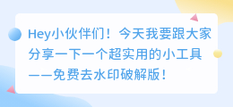 免费去水印破解版