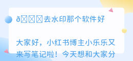 去水印那个软件好