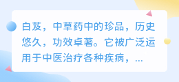 白芨提取物宣传文案