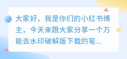 万能去水印破解版下载