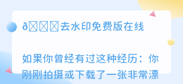 去水印免费版在线