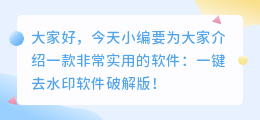 一键去水印软件破解版