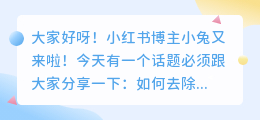 最好的去水印软件