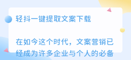 轻抖一键提取文案下载