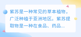 紫苏提取文案