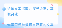 诗句文案提取
