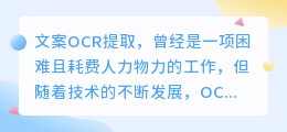 文案ocr提取