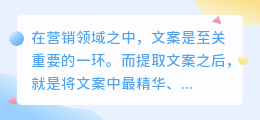 提取文案之后