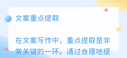 文案重点提取
