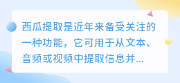 西瓜提取文案功能