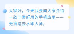 无痕迹去水印大师