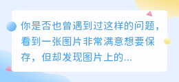 一键去水印永久免费版ios