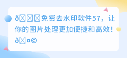 免费去水印软件57