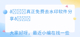 真正免费去水印软件