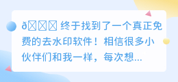 真正免费的去水印软件