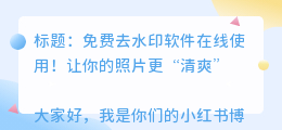 免费去水印软件在线使用