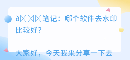 哪个软件去水印比较好