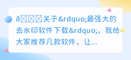 最强大的去水印软件下载