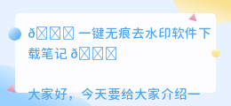 一键无痕去水印软件下载