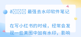 最强去水印软件