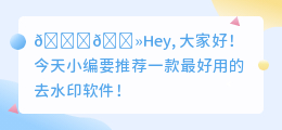 最好用的去水印软件