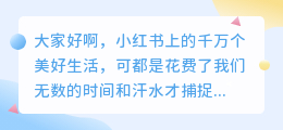 一键无痕去水印破解版