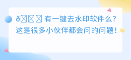 有一键去水印软件么