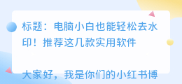 电脑给去水印软件哪个好