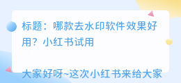 哪款去水印软件效果好用
