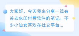 去水印付费软件哪个好