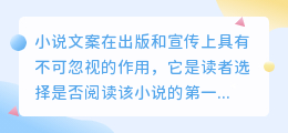 提取小说文案