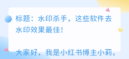 哪个软件去水印效果好