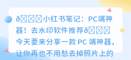 pc端去水印软件