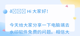 电脑端去水印软件免费